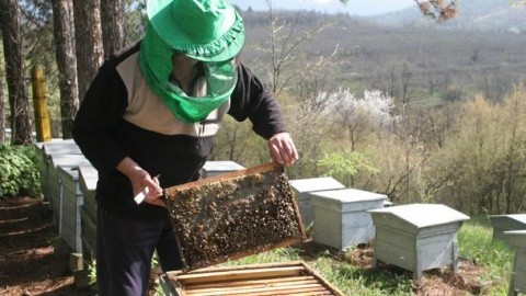 Bulgarian Beekeepers Angry With Agriculture Ministry’s Inadequate Policies