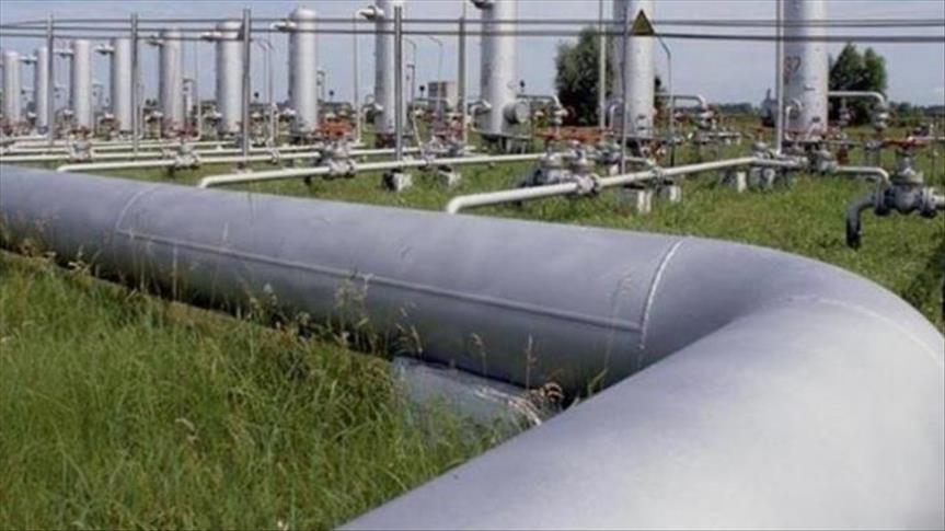 Tender Invited For Bulgaria-Serbia Gas Interconnector, 11 Companies Submit Bidding Documents