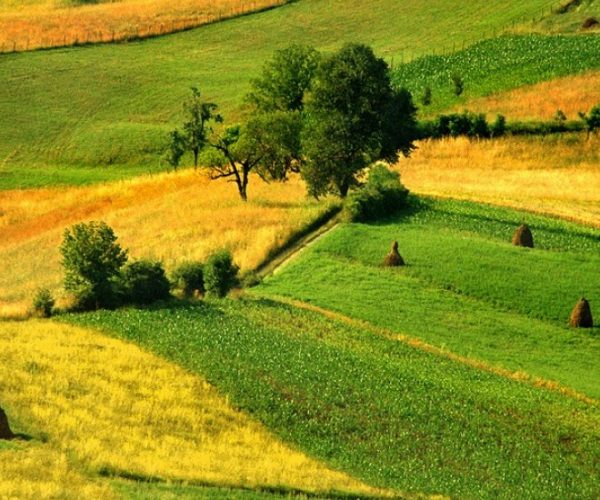 Agriculture In Bulgaria Records The Largest Outflow Of Workers In The EU