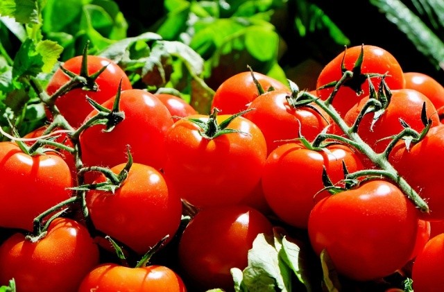 Economics Paradox: Bulgaria Imports More Tomatoes Than Bananas