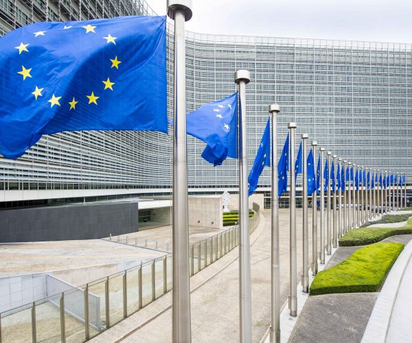 The European Commission Raised Bulgarian GDP Growth Forecast For 2019 To 3.6%