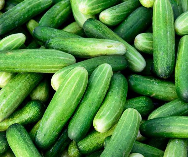 VAT Reimbursement Scheme For Bulgarian Vegetable Producers Planned