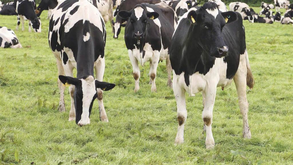 Indonesia Has Тhreatened To Impose Higher Duties On EU Dairy Products