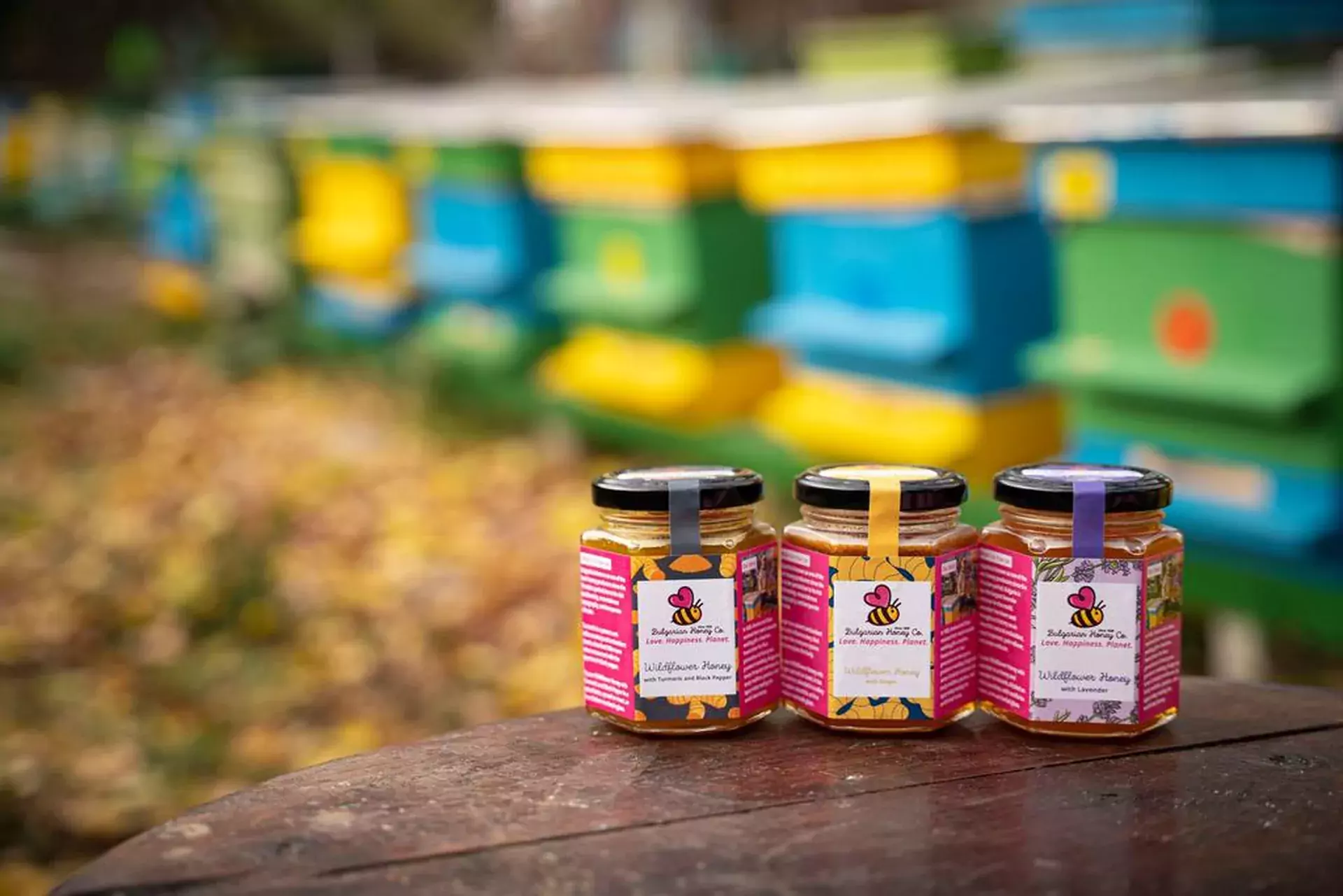Beekeepers: The European Market May Close Door For Bulgarian Honey