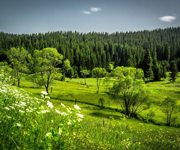 Foreign Tourists Are Increasingly Interested In Places In The Interior Parts Of Bulgaria