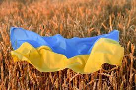 Ukraine Relies On Grain Exports Mainly Through Romania And Expects EU Aid To Preserve The Harvest