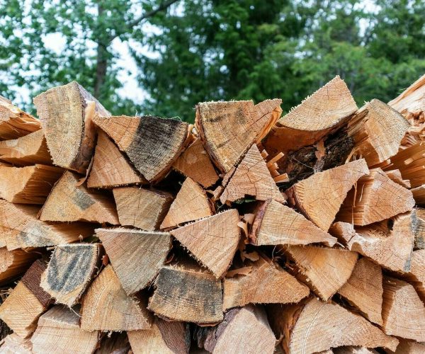 The Lack Of Firewood Imports From Bulgaria Led To A Sharp Rise In Prices In Greece