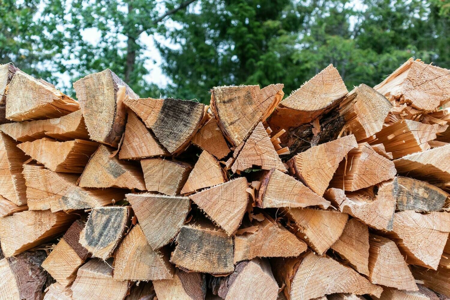 The Lack Of Firewood Imports From Bulgaria Led To A Sharp Rise In Prices In Greece