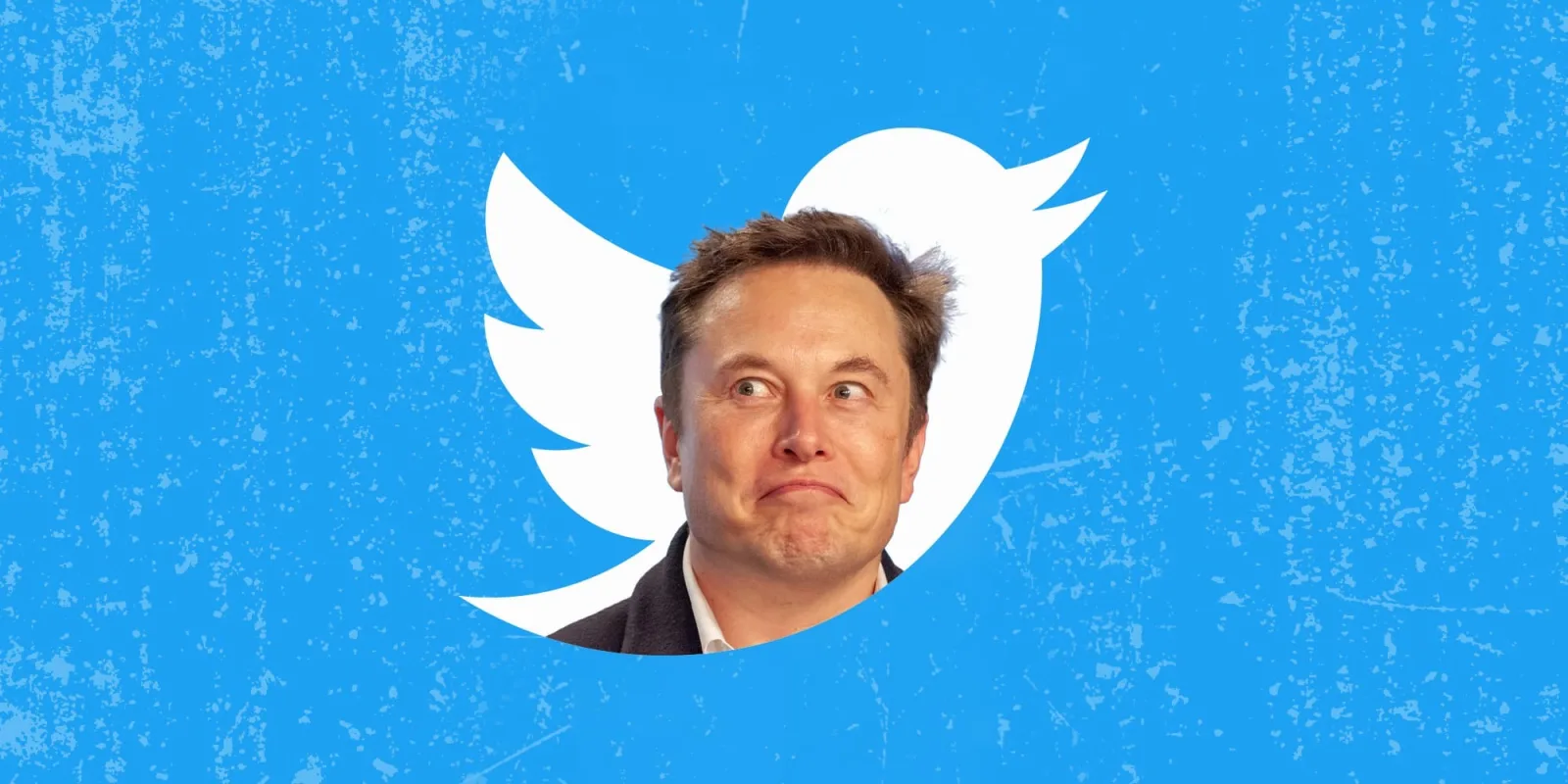 Musk: The Bird Is Freed