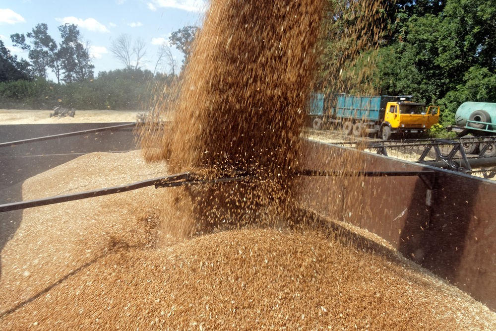 Bulgarian Grain Producers Sell Below Cost: We Are No Longer Talking About Profit, But About Smaller Losses