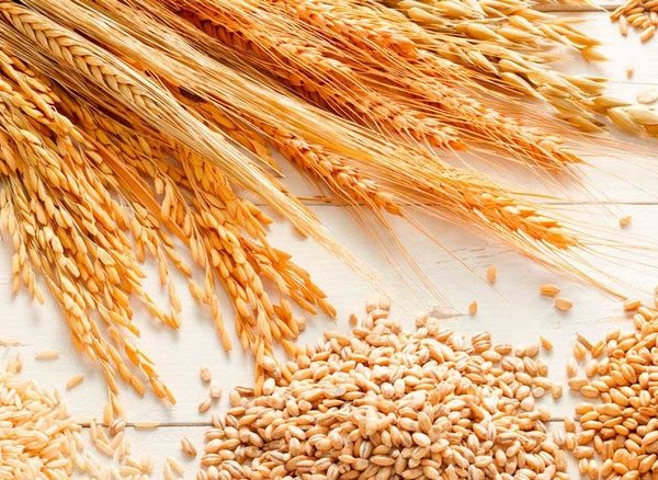 Bulgaria Will Receive EUR 16 Million In Compensation Due To Large Imports Of Grain From Ukraine