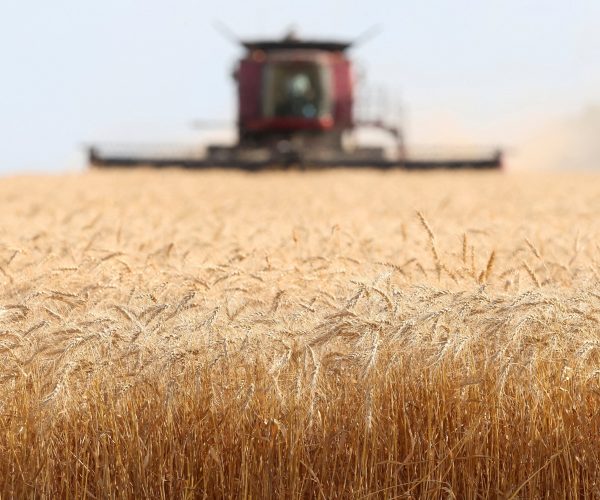 Bulgaria Will Receive 9.77 Million Euros In Compensation From Brussels Due To The Ukrainian Grain Imports