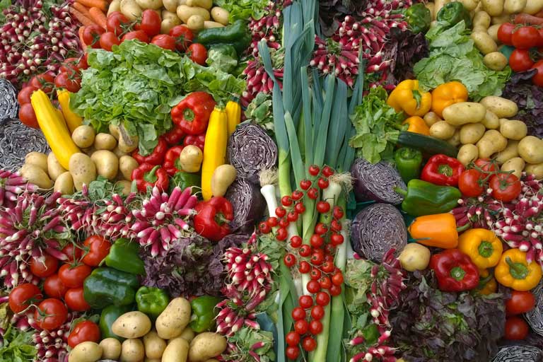 Due To Lack Of A Labour Force And Subsidies: The Production Of Bulgarian Fruits And Vegetables Is In Danger