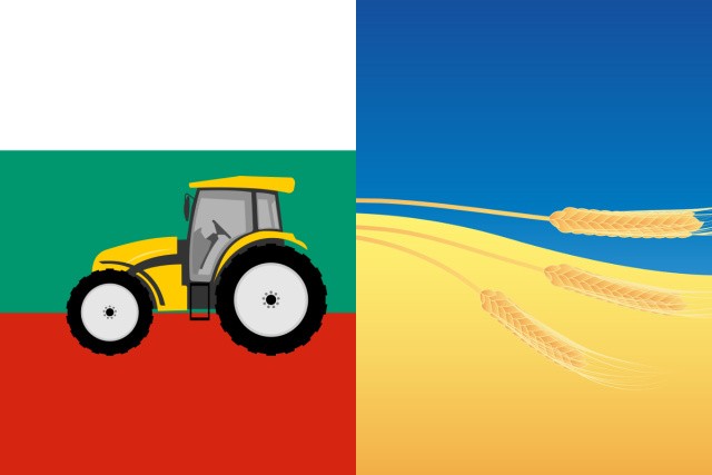 The EC Plans To Extend The Ban Of Imports Of Ukrainian Wheat To Bulgaria And 4 More Countries