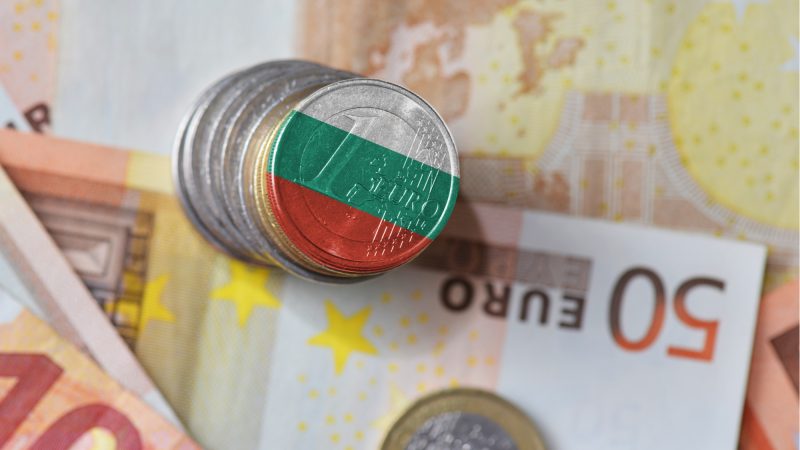 Bulgarian Businesses Declared For The Direct Adoption Of The Euro And Not Its Parallel Introduction