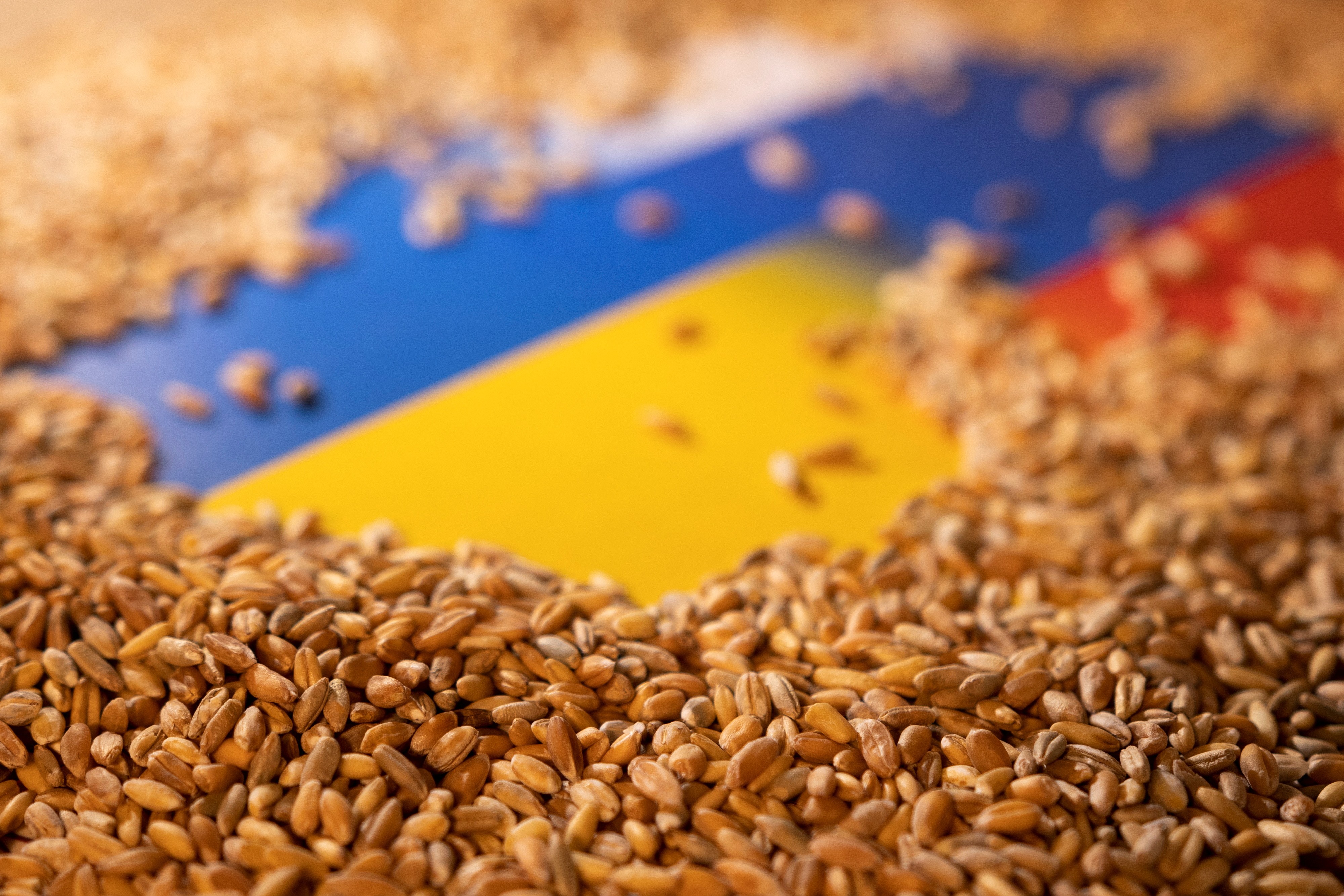 PM Denkov: Freeing Grain Imports From Ukraine Will Reduce Inflation In Bulgaria