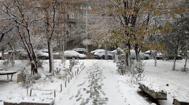 Severe Snowfall Paralyzes Bulgaria: Roads Shut, Flight Operations Disrupted