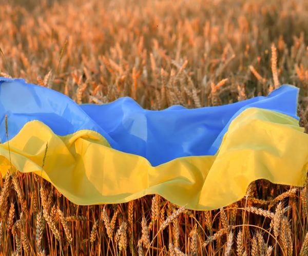 Bulgarian And Ukrainian Agriculture Ministers Forge Agreement On Export Licensing System For Key Crop