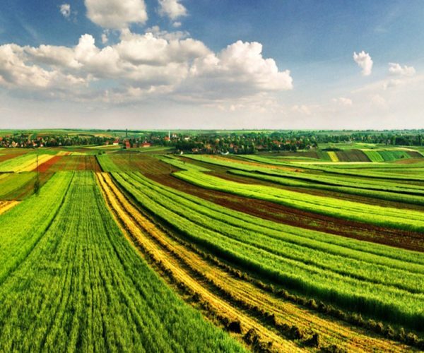 Prices Of Agricultural Land In Bulgaria Rose 12% In 2018