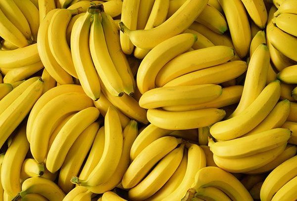 Massive Cocaine Seizure: 170 kg Discovered In Bananas At Port Of Burgas