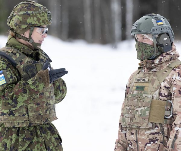 Rear Support For Ukraine: Estonia Weighs Troop Deployment