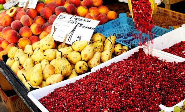 Shocking Stats: Bulgaria’s Fresh Produce Imports Dwarf Exports