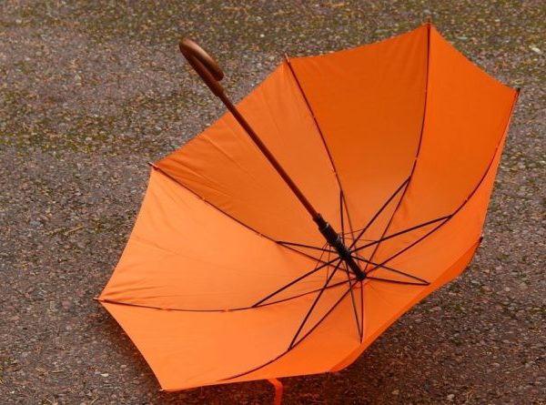 Heat Alert For Friday: Orange Weather Warning Issued Across Most Of Bulgaria