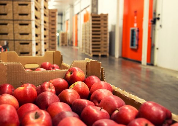Bulgaria Tightens Fruit and Vegetable Import Controls Amid Market Concerns