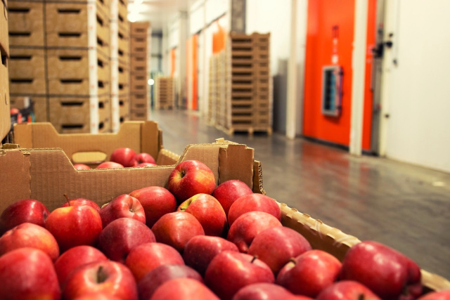 Bulgaria Tightens Fruit and Vegetable Import Controls Amid Market Concerns